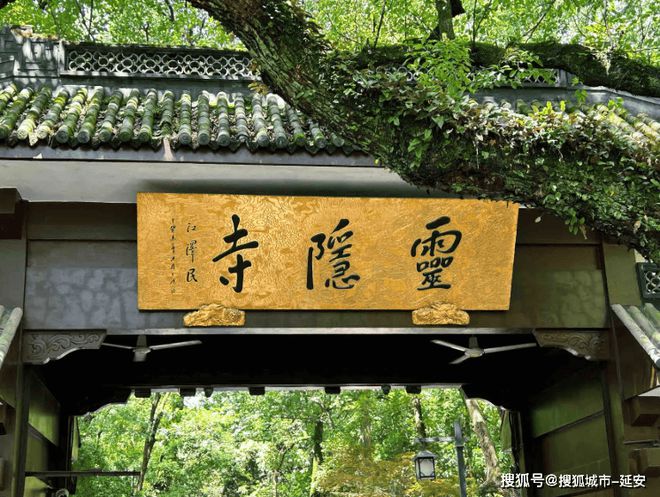 天多少钱当地女全陪导游联系电话号码新葡京娱乐场app杭州私人导游一(图1)