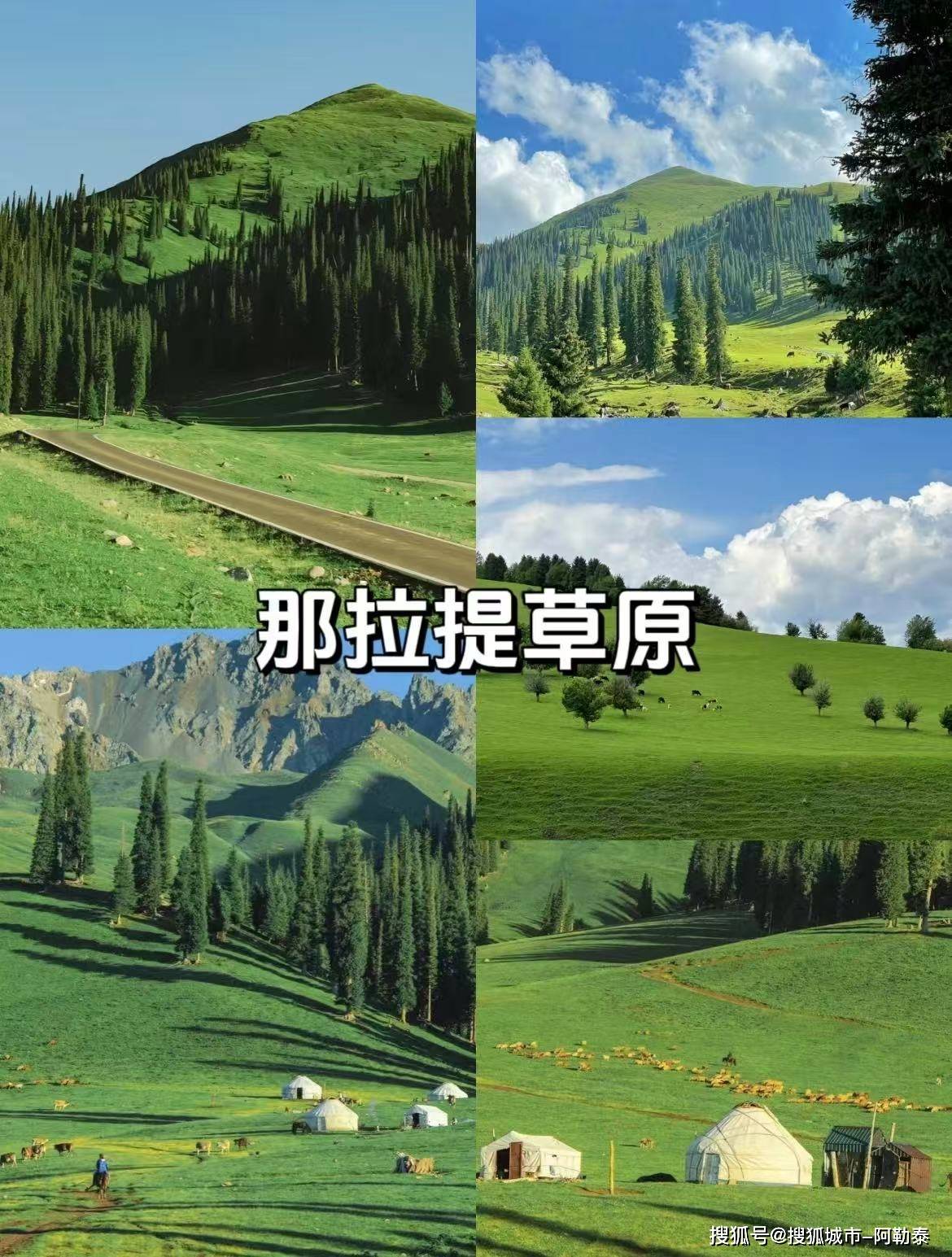 端旅行体验2025新疆最受欢迎的旅程新葡京说走就走！新疆轻奢跟团游享受高(图2)