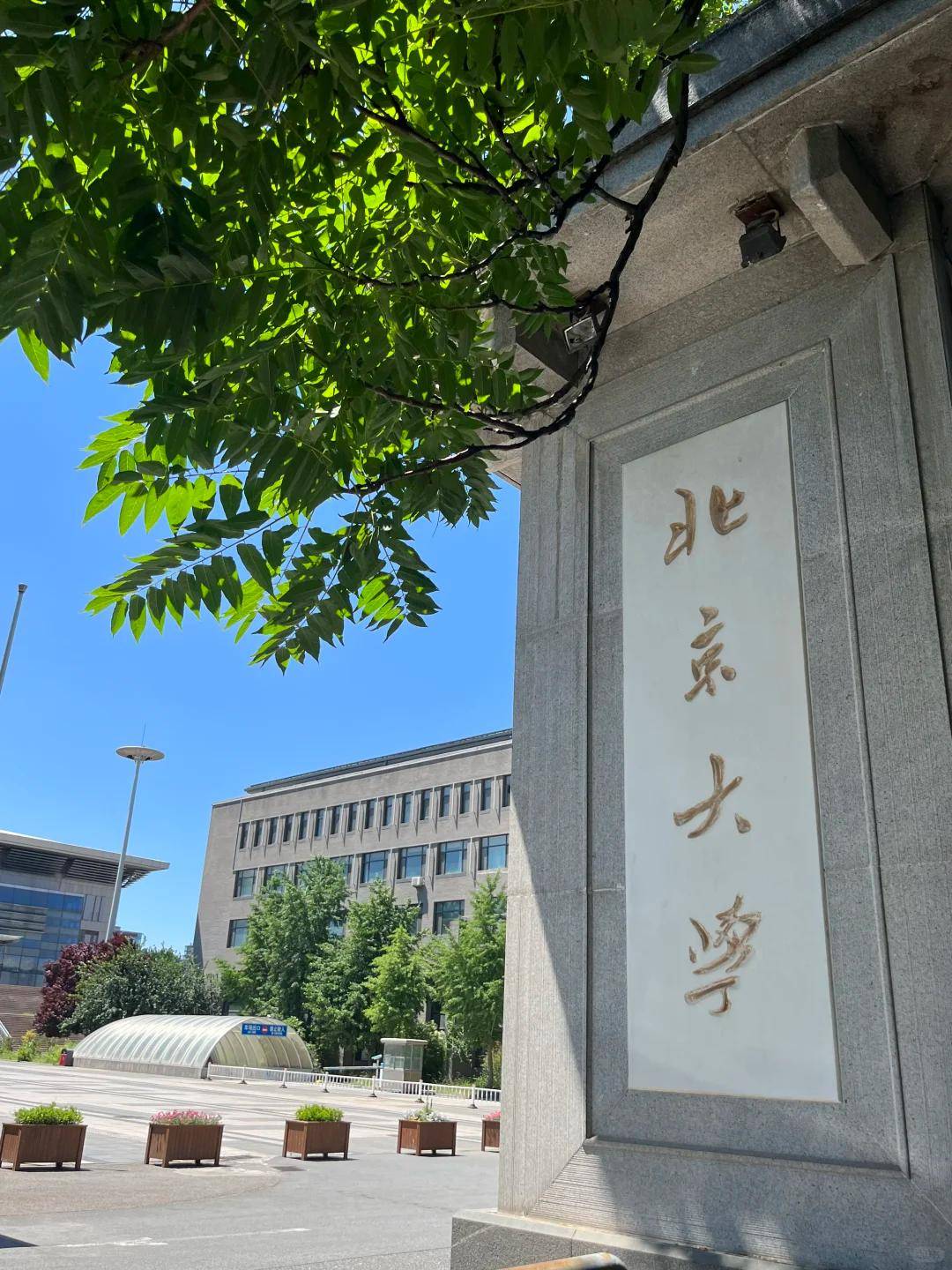 行社 TOP3高校线含北大清华讲解！澳门新葡京学生党福音！北京好评多的旅(图3)