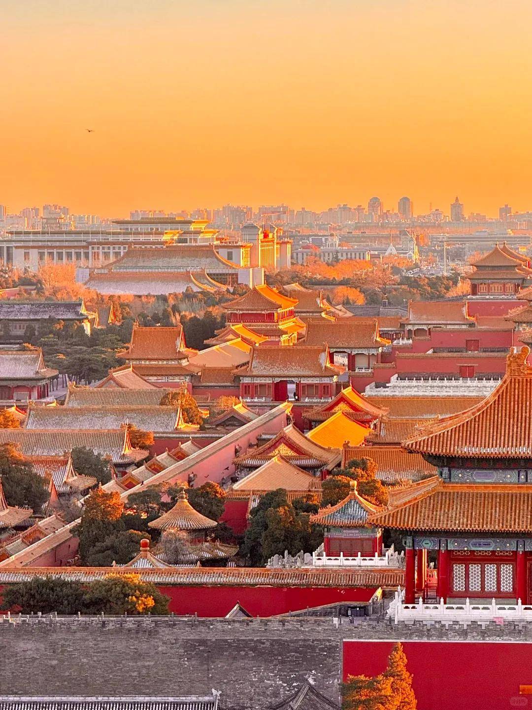 时接送机定制专属行程你的行程你做主新葡京